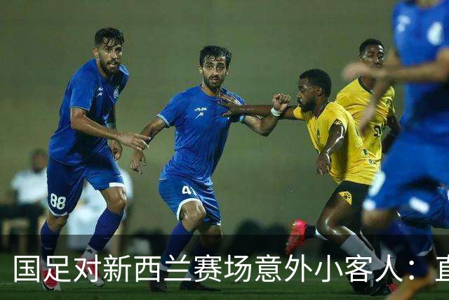 国足对新西兰赛场意外小客人：直播镜头里的“小蜘蛛