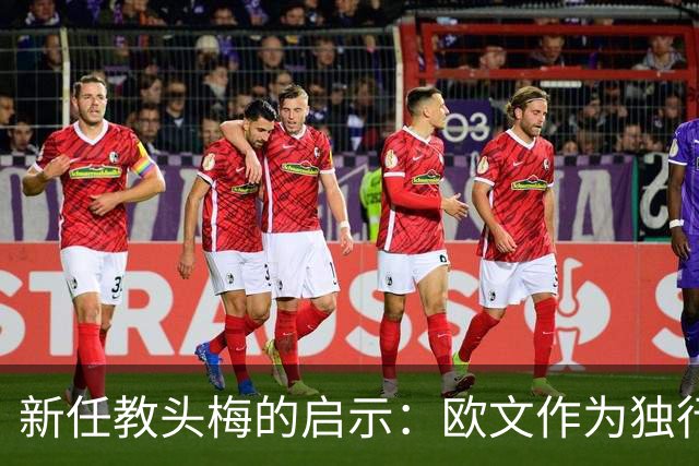 新任教头梅的启示：欧文作为独行侠的教练助手
